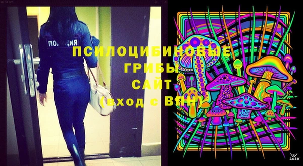 индика Алзамай