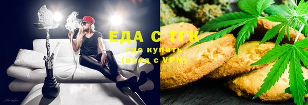 индика Алзамай