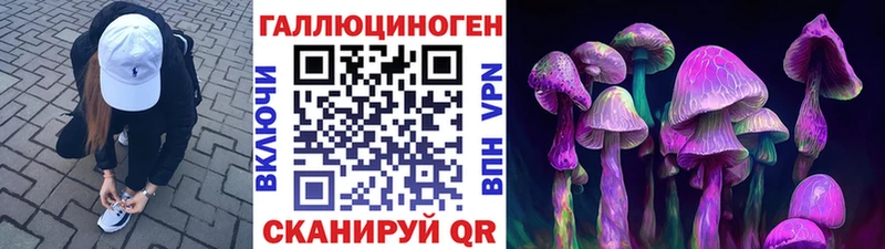 hydra ссылки Нововоронеж Псилоцибиновые грибы Psilocybe как найти закладки