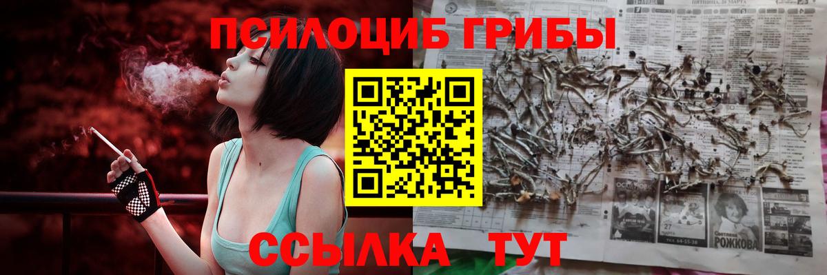 Нововоронеж  Псилоцибиновые грибы мицелий  Псилоцибиновые грибы Cubensis  Вход с VPN 