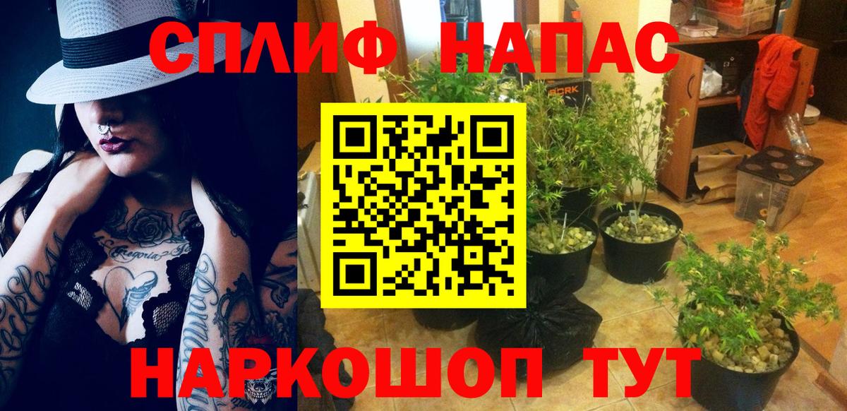 Канабис индика  Марихуана марихуана  Нововоронеж  Вход с VPN  МАРИХУАНА AK-47  Марихуана Bruce Banner 